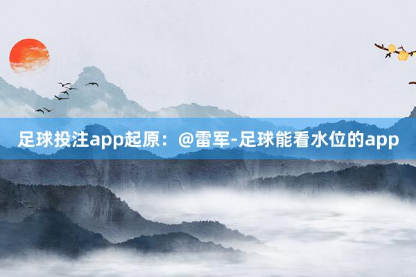 足球投注app起原：@雷军-足球能看水位的app