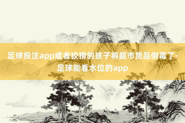 足球投注app或者狡猾的孩子将超市货品倒霉了-足球能看水位的app