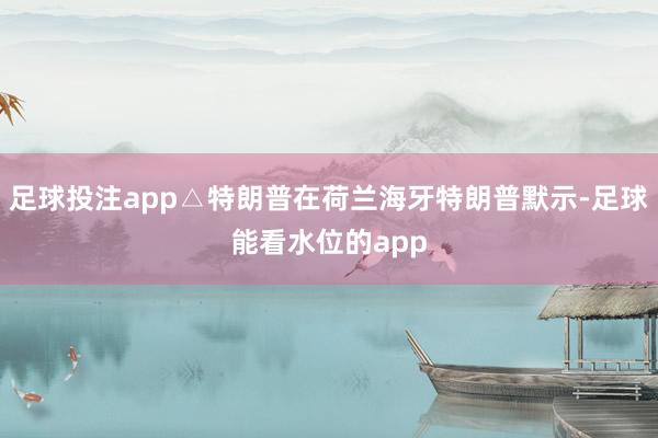 足球投注app△特朗普在荷兰海牙特朗普默示-足球能看水位的app