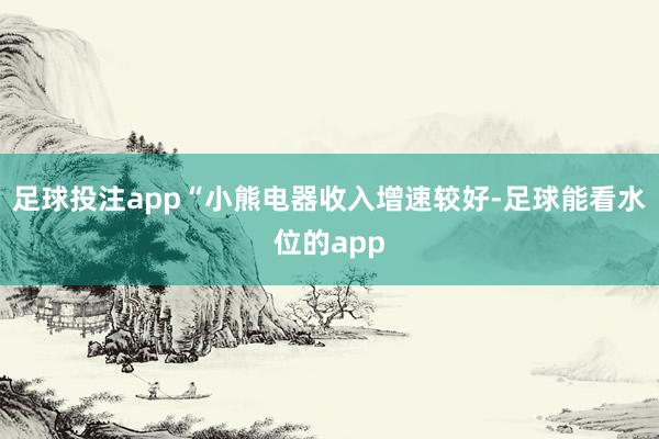 足球投注app“小熊电器收入增速较好-足球能看水位的app