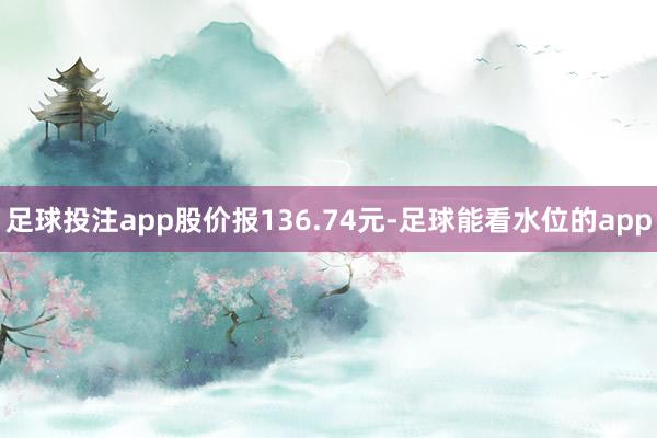 足球投注app股价报136.74元-足球能看水位的app