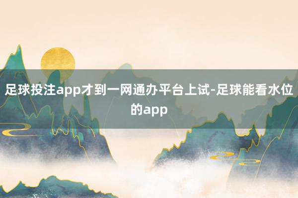 足球投注app才到一网通办平台上试-足球能看水位的app