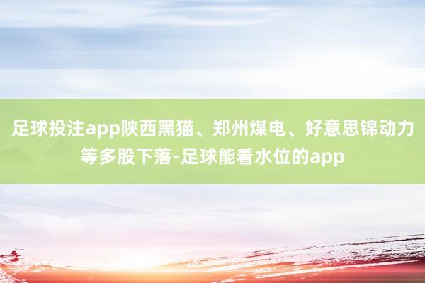 足球投注app陕西黑猫、郑州煤电、好意思锦动力等多股下落-足球能看水位的app