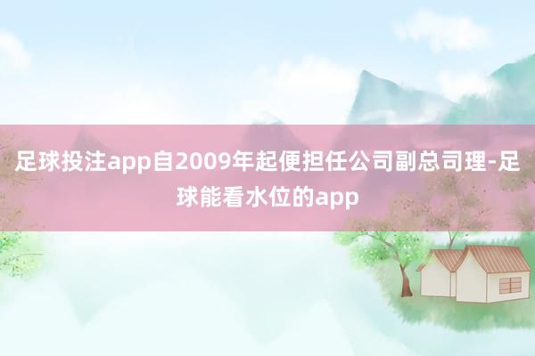 足球投注app自2009年起便担任公司副总司理-足球能看水位的app