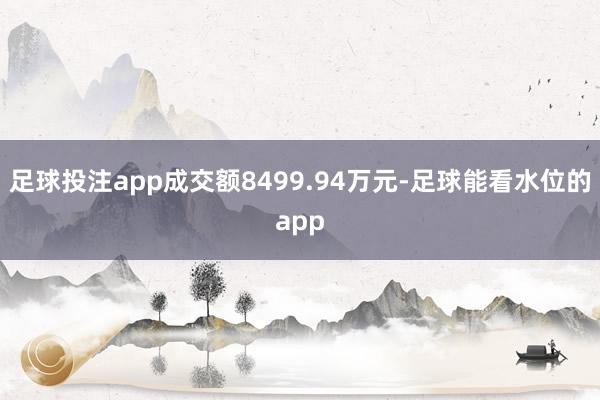 足球投注app成交额8499.94万元-足球能看水位的app