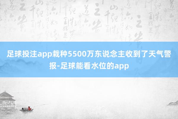 足球投注app栽种5500万东说念主收到了天气警报-足球能看水位的app