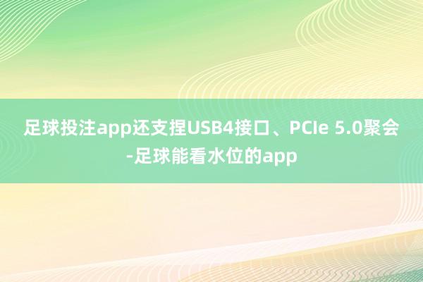 足球投注app还支捏USB4接口、PCIe 5.0聚会-足球能看水位的app