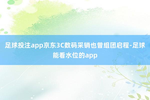 足球投注app京东3C数码采销也曾组团启程-足球能看水位的app