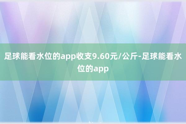 足球能看水位的app收支9.60元/公斤-足球能看水位的app