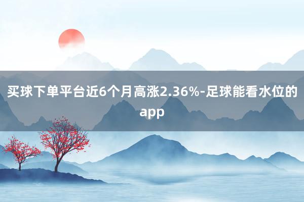 买球下单平台近6个月高涨2.36%-足球能看水位的app