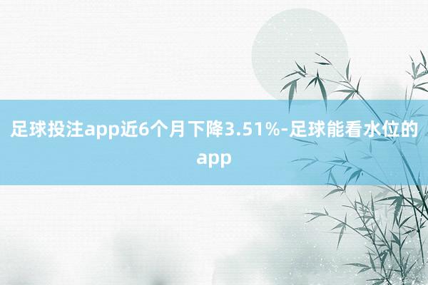 足球投注app近6个月下降3.51%-足球能看水位的app