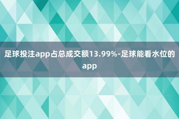足球投注app占总成交额13.99%-足球能看水位的app
