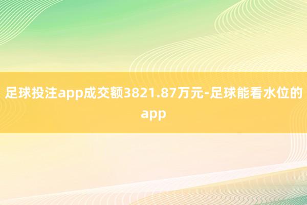 足球投注app成交额3821.87万元-足球能看水位的app