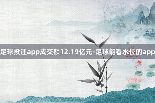足球投注app成交额12.19亿元-足球能看水位的app