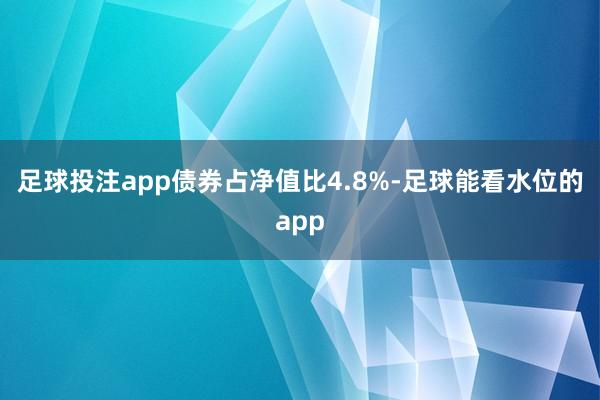 足球投注app债券占净值比4.8%-足球能看水位的app