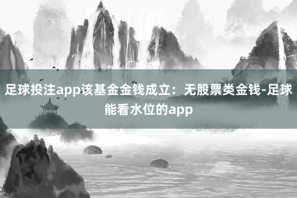 足球投注app该基金金钱成立：无股票类金钱-足球能看水位的app