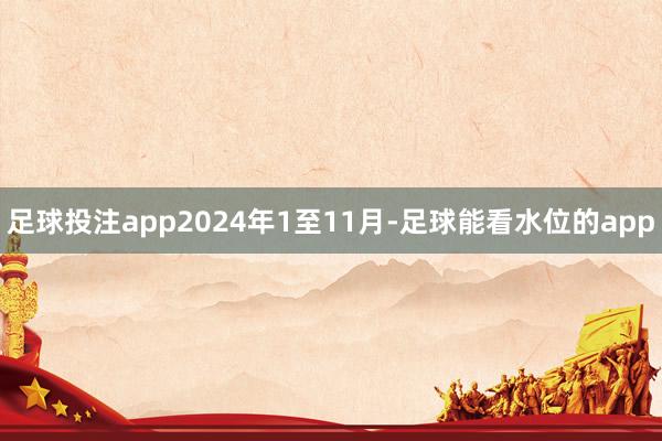 足球投注app2024年1至11月-足球能看水位的app