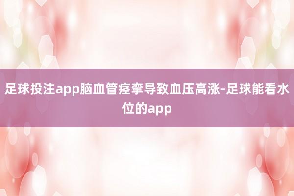 足球投注app脑血管痉挛导致血压高涨-足球能看水位的app