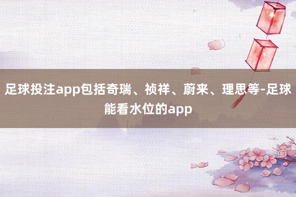 足球投注app包括奇瑞、祯祥、蔚来、理思等-足球能看水位的app