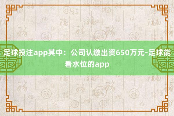 足球投注app其中：公司认缴出资650万元-足球能看水位的app