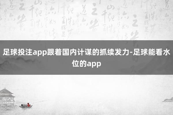 足球投注app跟着国内计谋的抓续发力-足球能看水位的app