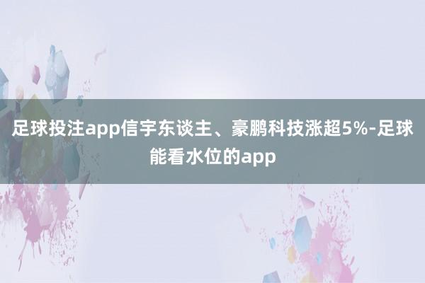 足球投注app信宇东谈主、豪鹏科技涨超5%-足球能看水位的app