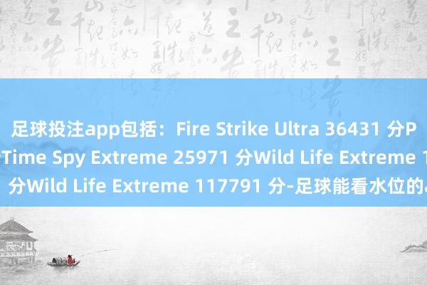 足球投注app包括：Fire Strike Ultra 36431 分Port Royal 4337