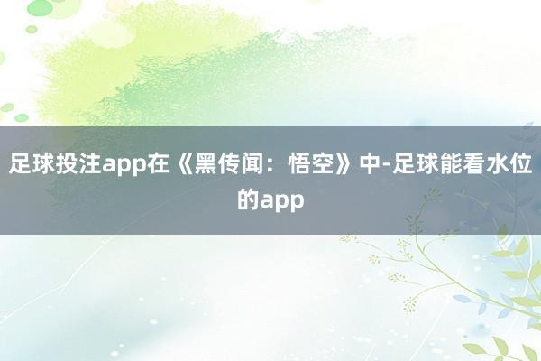 足球投注app在《黑传闻：悟空》中-足球能看水位的app