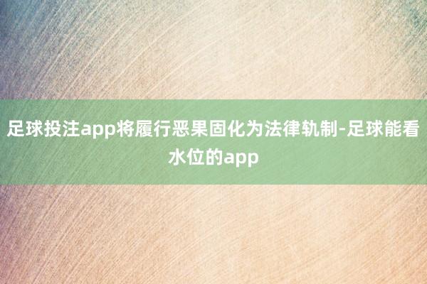 足球投注app将履行恶果固化为法律轨制-足球能看水位的app
