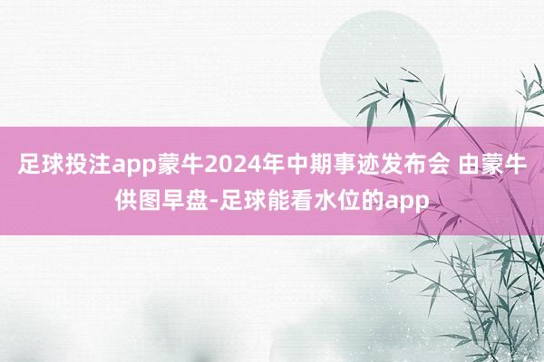 足球投注app蒙牛2024年中期事迹发布会 由蒙牛供图早盘-足球能看水位的app