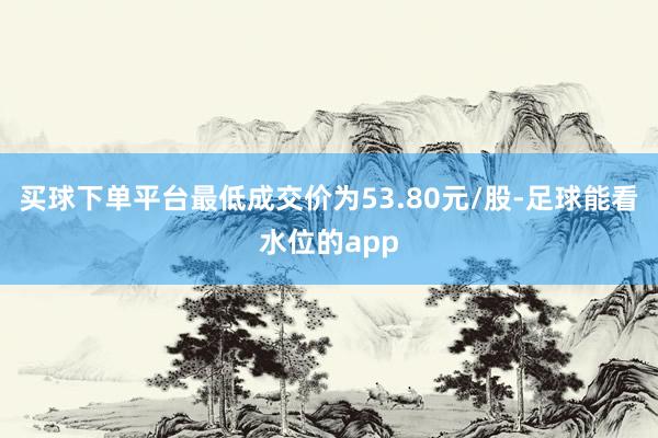 买球下单平台最低成交价为53.80元/股-足球能看水位的app