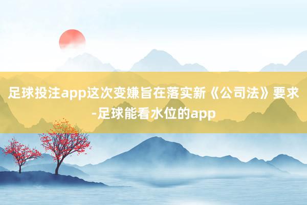 足球投注app这次变嫌旨在落实新《公司法》要求-足球能看水位的app