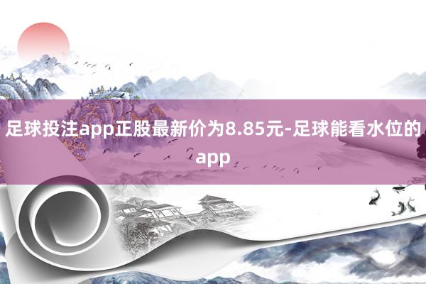 足球投注app正股最新价为8.85元-足球能看水位的app