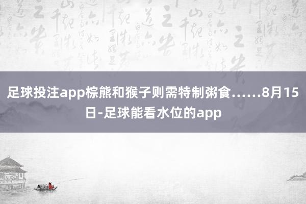 足球投注app棕熊和猴子则需特制粥食……8月15日-足球能看水位的app