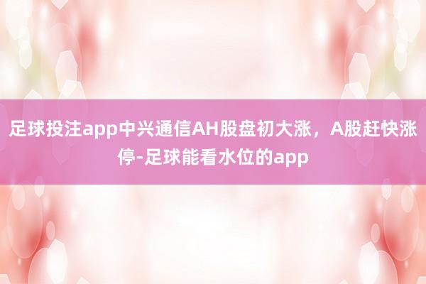足球投注app中兴通信AH股盘初大涨，A股赶快涨停-足球能看水位的app