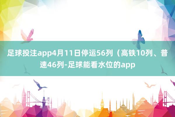 足球投注app4月11日停运56列（高铁10列、普速46列-足球能看水位的app
