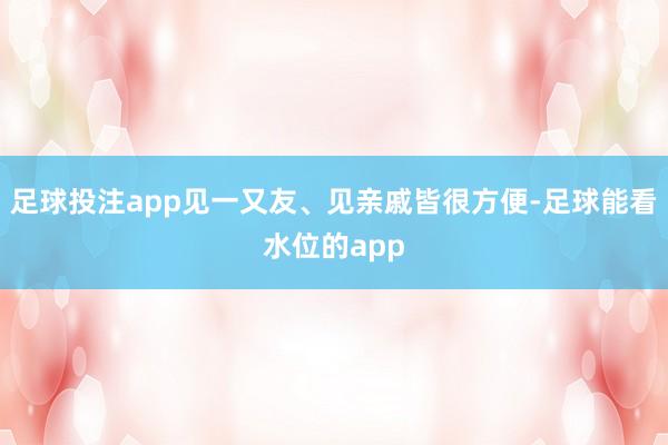 足球投注app见一又友、见亲戚皆很方便-足球能看水位的app