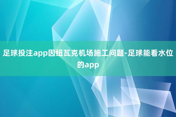 足球投注app因纽瓦克机场施工问题-足球能看水位的app