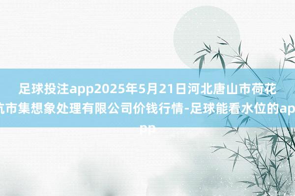 足球投注app2025年5月21日河北唐山市荷花坑市集想象处理有限公司价钱行情-足球能看水位的app