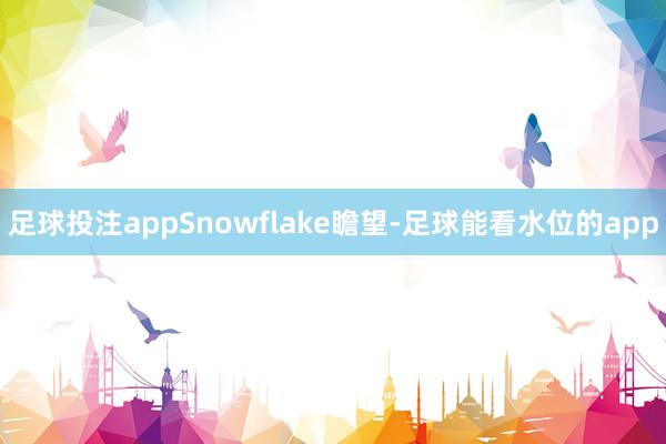 足球投注appSnowflake瞻望-足球能看水位的app