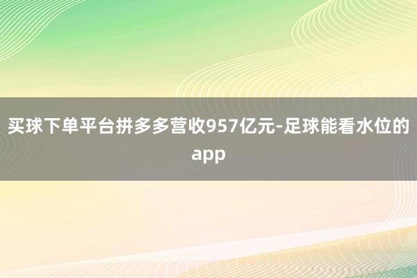 买球下单平台拼多多营收957亿元-足球能看水位的app