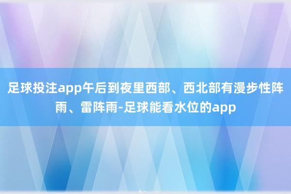 足球投注app午后到夜里西部、西北部有漫步性阵雨、雷阵雨-足球能看水位的app