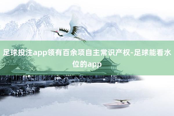 足球投注app领有百余项自主常识产权-足球能看水位的app
