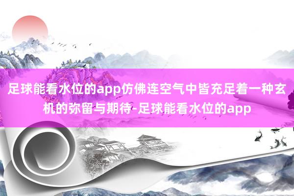 足球能看水位的app仿佛连空气中皆充足着一种玄机的弥留与期待-足球能看水位的app