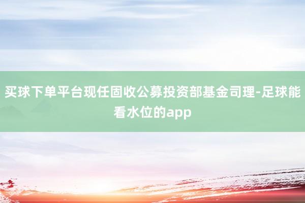 买球下单平台现任固收公募投资部基金司理-足球能看水位的app