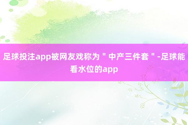 足球投注app被网友戏称为＂中产三件套＂-足球能看水位的app