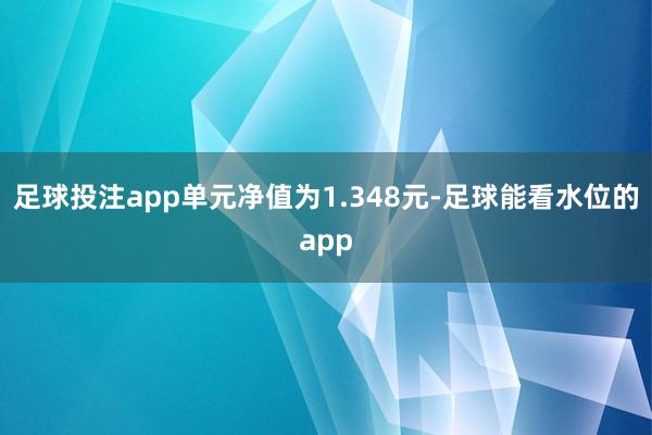 足球投注app单元净值为1.348元-足球能看水位的app