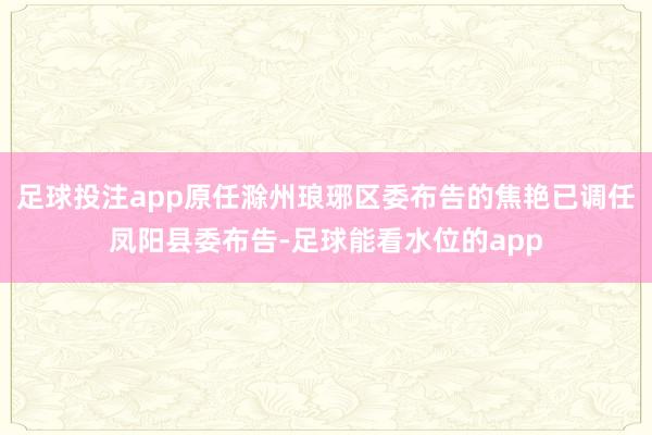 足球投注app原任滁州琅琊区委布告的焦艳已调任凤阳县委布告-足球能看水位的app
