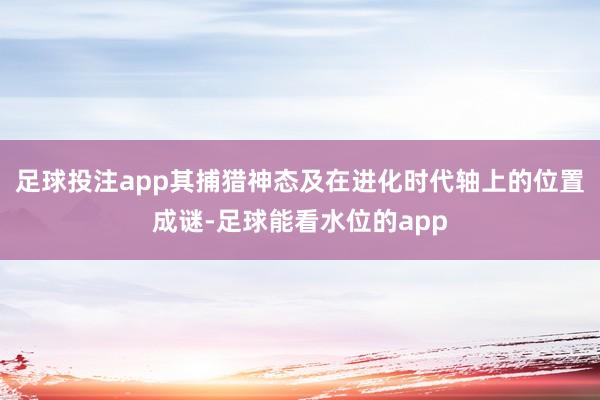 足球投注app其捕猎神态及在进化时代轴上的位置成谜-足球能看水位的app