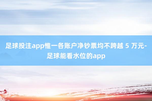 足球投注app惟一各账户净钞票均不跨越 5 万元-足球能看水位的app